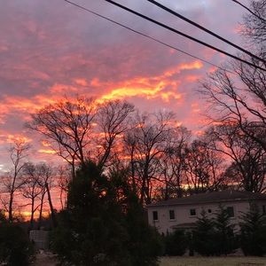 Meet your Posher, Charlotte